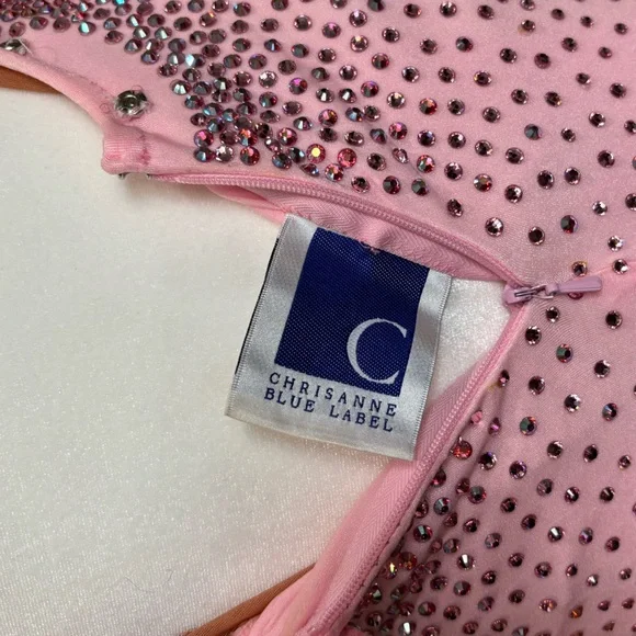 Chrisanne Couture Pink Ballroom Gown with Removable Standard Floats - Picture 8 of 9